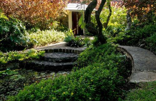 Cliff House with Ocean Views in Haiku, Maui jungle - Foto 27