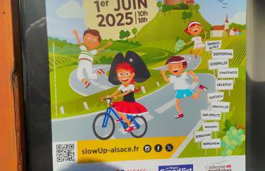 Gîte Le Marronnier, parking et terrasse au calme, entre Colmar-Riquewihr et Obernai, vue sur espaces verts et coteaux d Alsace, route du vin-châteaux - Foto 76