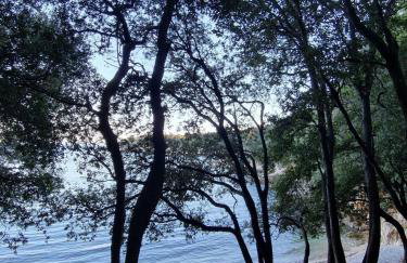 Istria Sea Side Apartment Alex - Foto 20