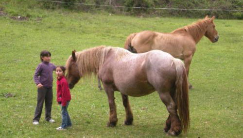 Casa Villamana - Foto 5