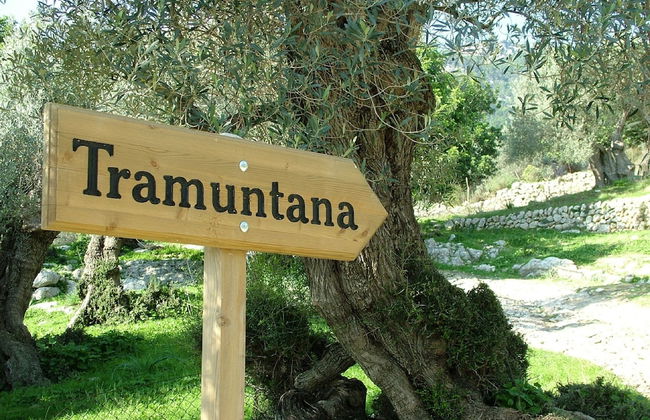 Hotel Monnàber Vell - Foto 37