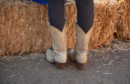 Group Bunkhouse Sleeps 12 Mountain Views - Foto 25