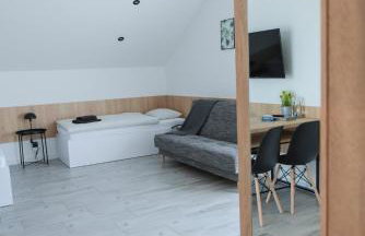 Apartamenty Pawełek - Foto 28