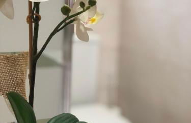 Casa El Tejar - Photo 25