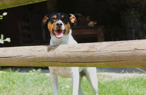 Cal Sadurní - Foto 76