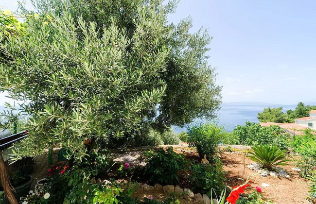 Apartments Villa Bella Vista - Photo 33