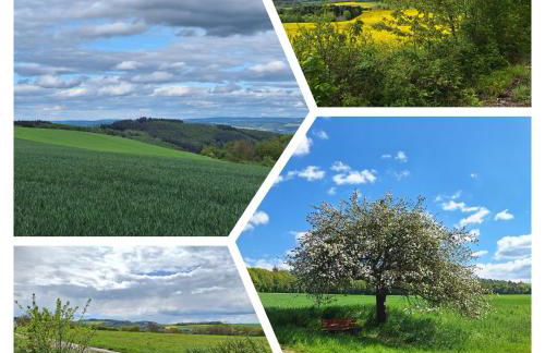 tinyflat33 Apartment in Koblenz mit Internet Balkon Stellplatz Magenta TV - Foto 18