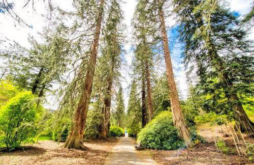 Argyll Farmhouse-Idyllic Setting-Sleeps10 - Foto 35