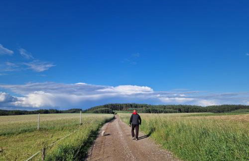 Domek Konrad - balia ogrodowa dodatkowo płatna - Foto 67