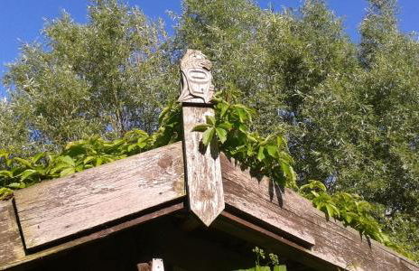 Hofboddenblick - Foto 64