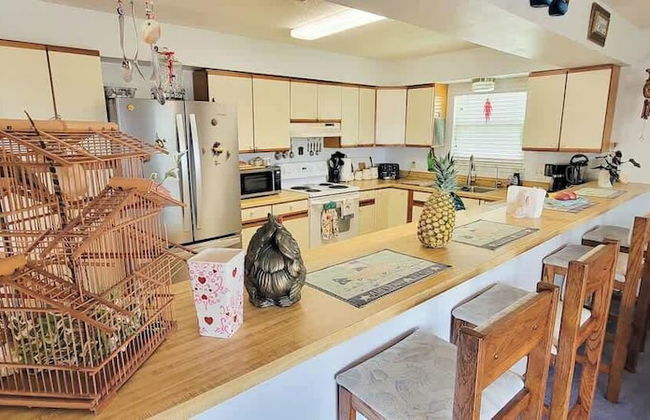 Fish Crazy House - Photo 23