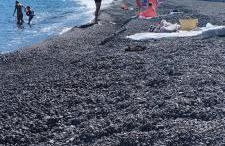 Casa Zu Peppino - Foto 57