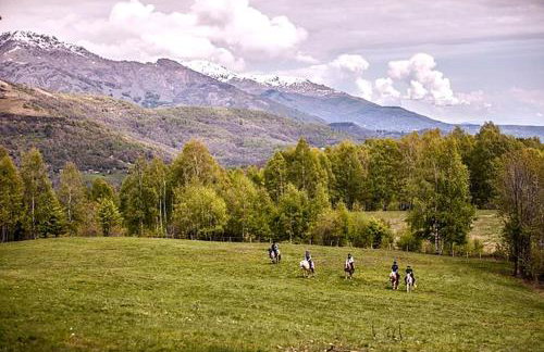 Unique Glamping Tent for Two near World Equestrian Games in Mill Spring, North Carolina - Foto 10