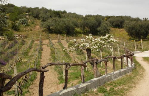 Villa L'Oleandro - Foto 53