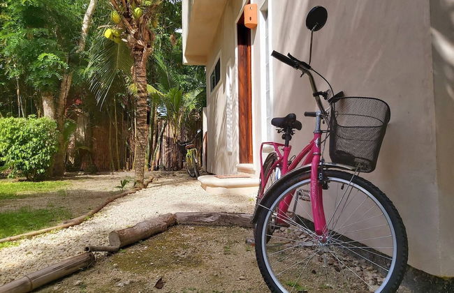 Mini Pini Birdwatching and Cenote Loft4 you Only - Foto 61