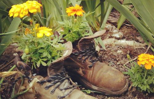 Agriturismo Il Gelso - Foto 57