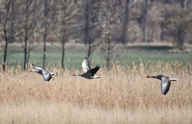 A House to Stay for Holidays - Foto 17