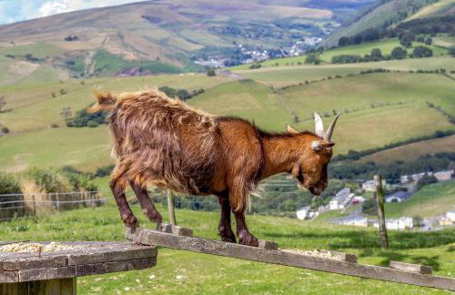 Caner Bach Lodge - Foto 37