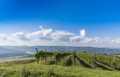 Villa Franka 113 - Foto 51