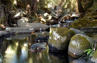 Casas Rurales Acebuche en Valle del Ambroz - Foto 83