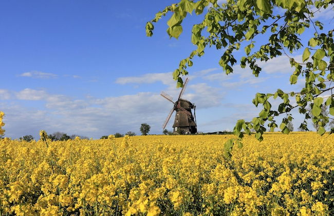 Haus Stern - Foto 50