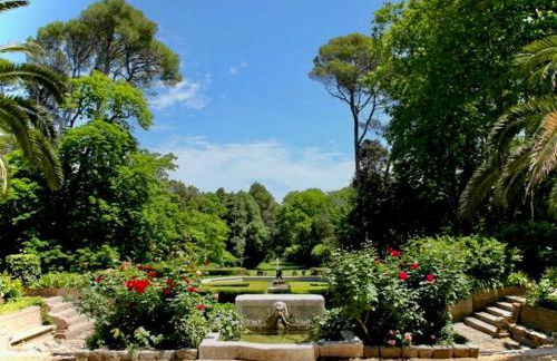 Château Saint Martin de La Garrigue - Foto 8