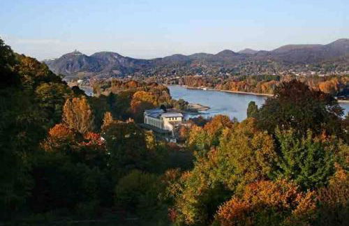 Ferienwohnung in Rheinnähe - Foto 17