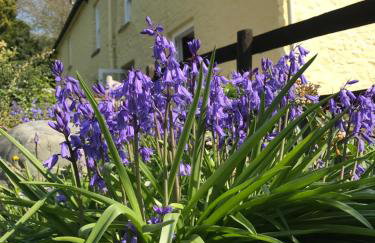 Ty Mawr Country Hotel & Restaurant - Foto 74