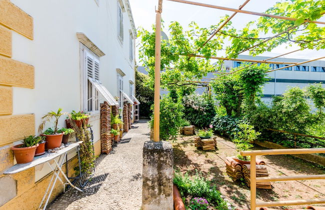 Guest House Ivana - Foto 22