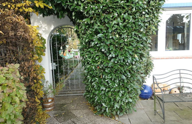 Tolstov-Hotels Large 3 Room Apartment with Garden - Foto 3