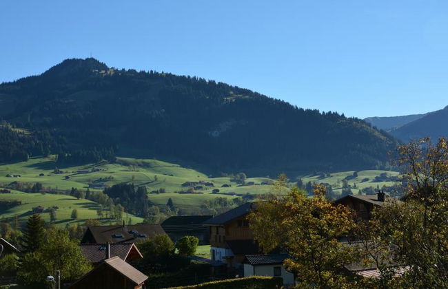 Hornflue (Wohlwender) - Foto 9