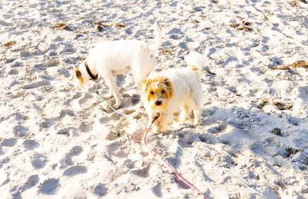 Achtern Diek Modern Retreat - Foto 24