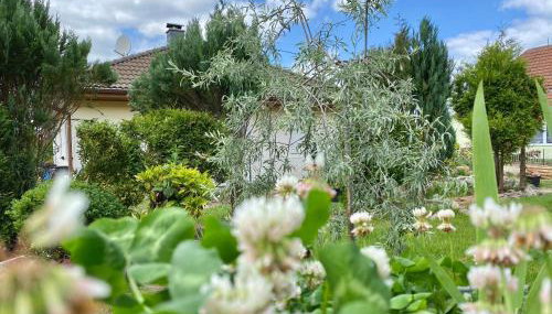 Apartmenthaus Lütt Meer - Foto 5