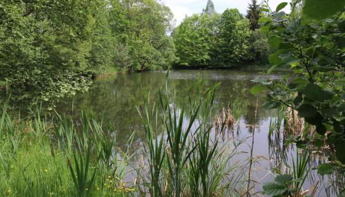 Erzgebirgsferien - Foto 3, Garden view