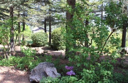 Le Conifere - Foto 16