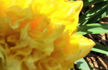 Alpine Log Cabin - Foto 28