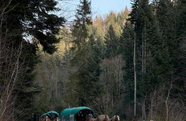 Bieszczady Beztroska Chata - Foto 31