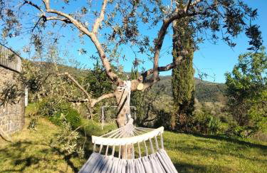 Casa Benucci Oliveta Tuscany - Foto 40