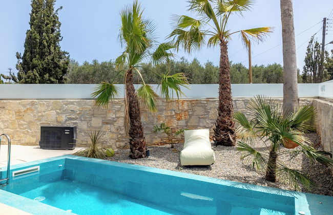 D Palm Premium Living - Foto 67