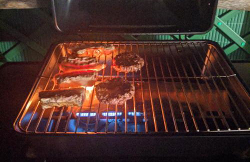 The Dream - Photo 21