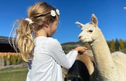 Aparthotel Familiaris - Family Apartments - Pools & Spa in Dolomites - Foto 58