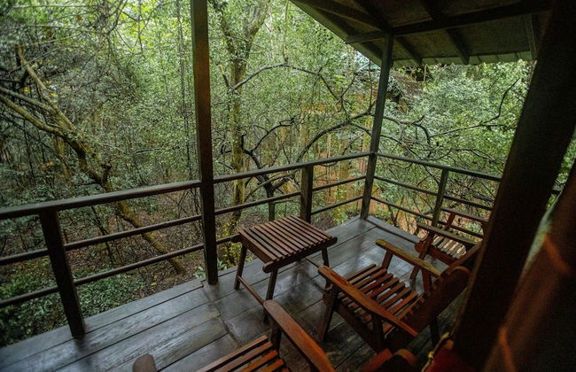 Inn On The Tree Eco Resort Sigiriya - Photo 7