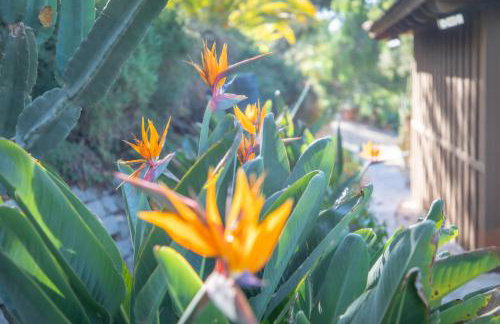 Nature Inspired Villa Designed for Wellness - Foto 104