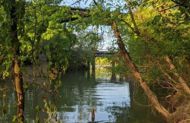 Ernie Cabin Wauhatchie Woodlands Tiny Cabin - Foto 27