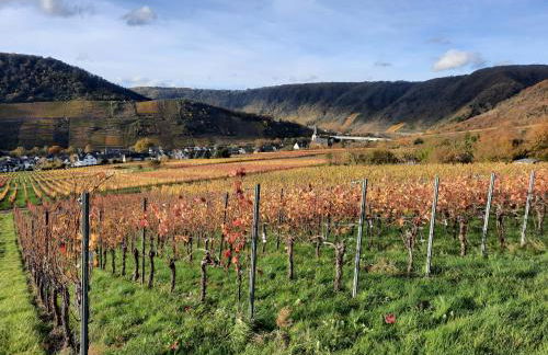 Ferienwohnung Götz - Foto 16