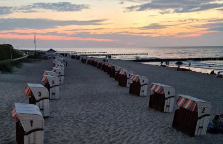 Ferienwohnung Bad Doberan - Foto 42