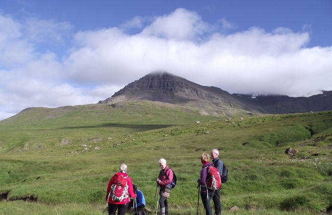 Hotel Laxarbakki - Photo 36