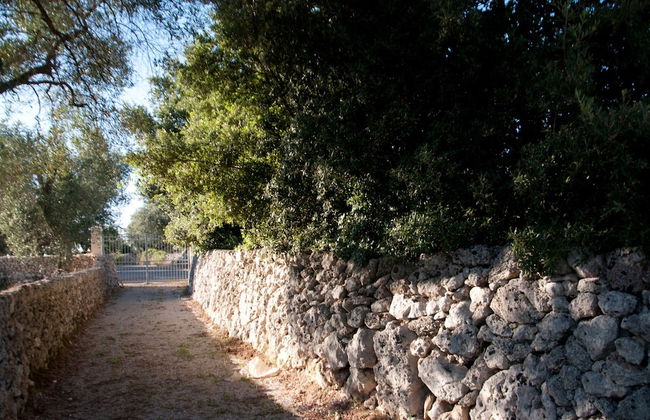 Agriturismo Villa Coluccia - Foto 48