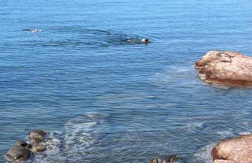 Calasetta casa al mare - Foto 37