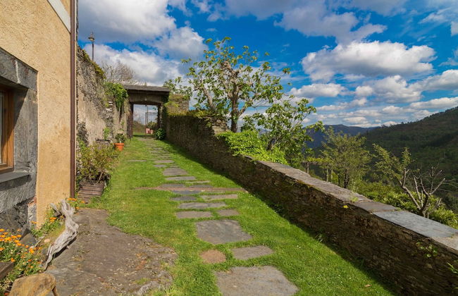 El Bosque de las Viñas - Foto 70